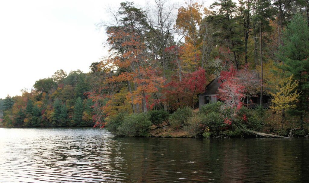 Lake with trees with fall leaves