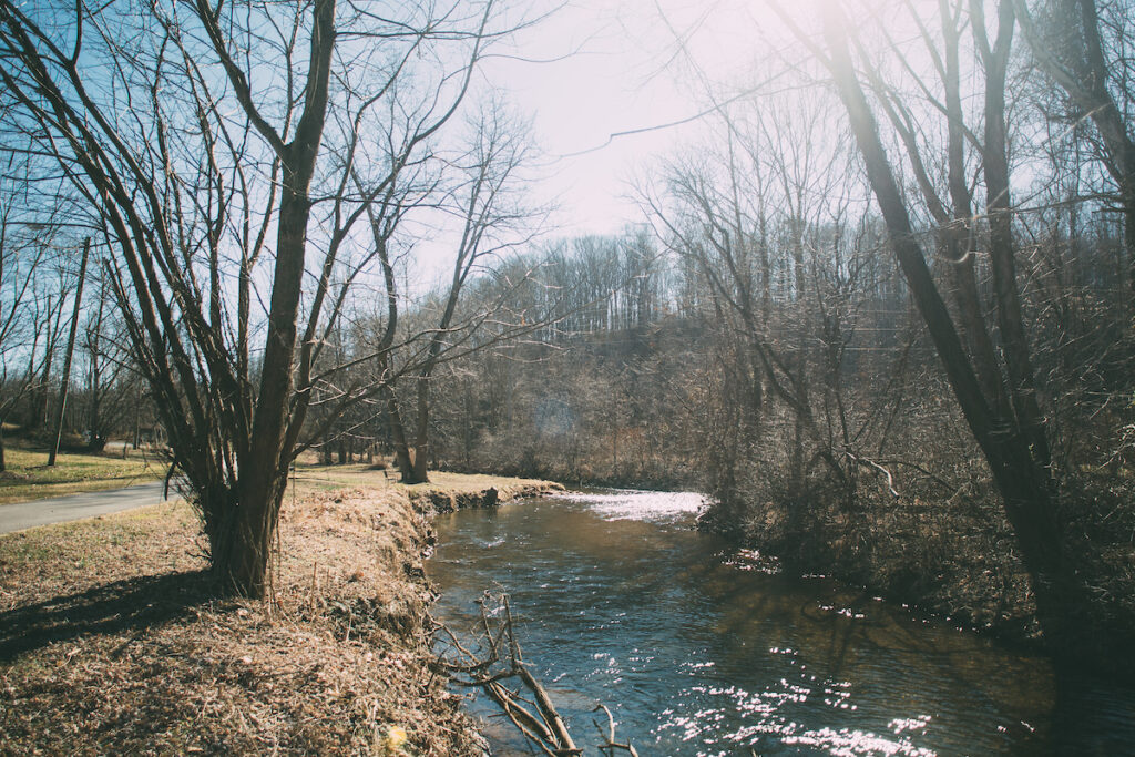 Trail next to tree-lined creek bed.