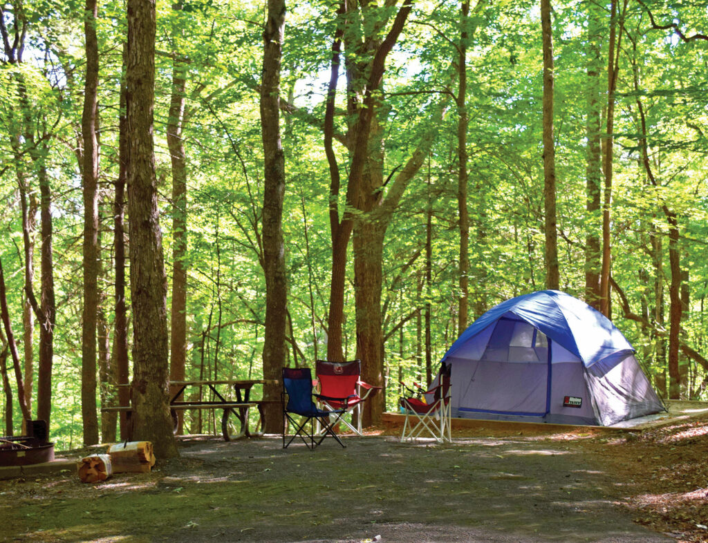 Camping at a campground in a tent