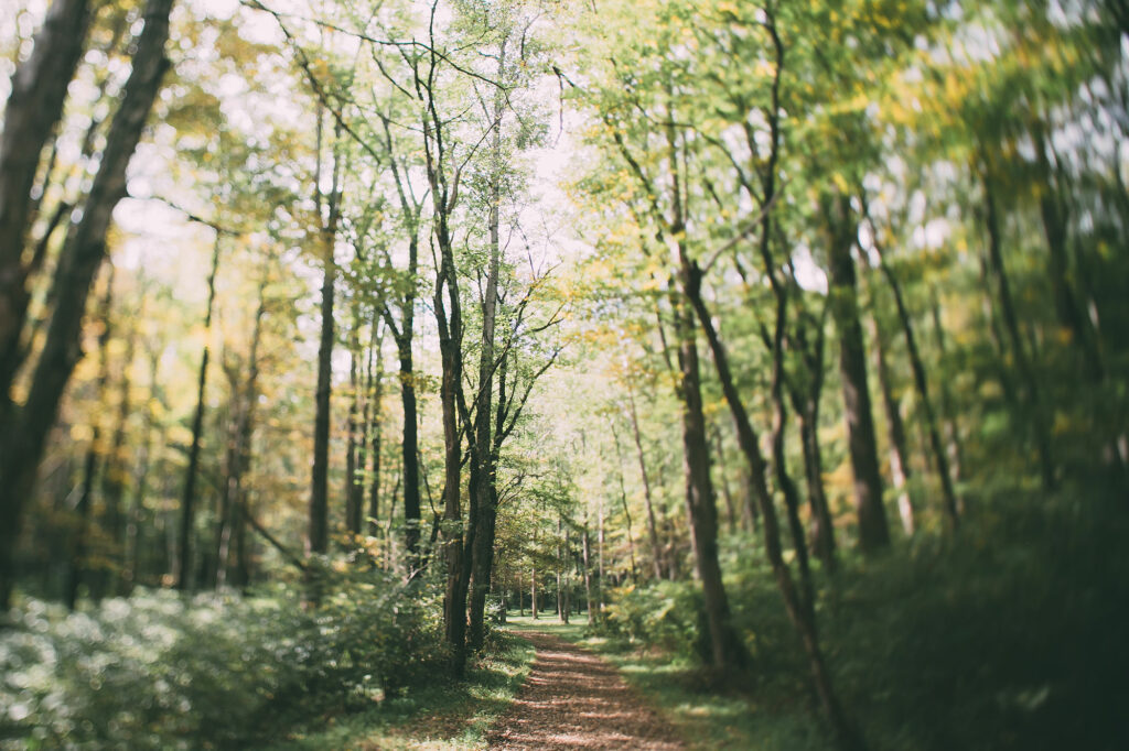 Hiking trails throughout the county