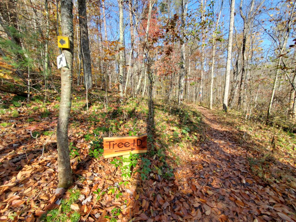 Fall leaf trail at DeHart Park