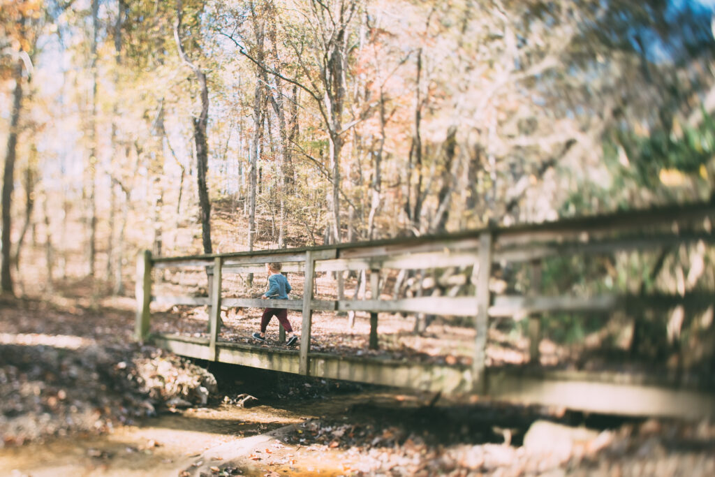 Child crossing bridge at Reynolds Homestead in the fall.