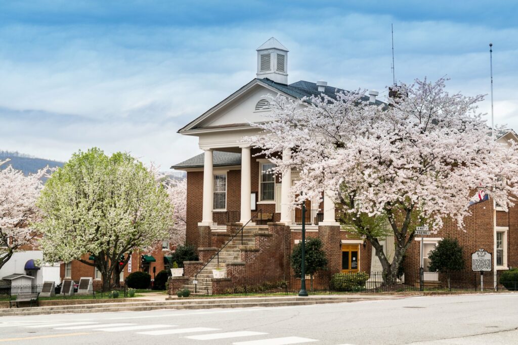 Courthouse with flowering tree