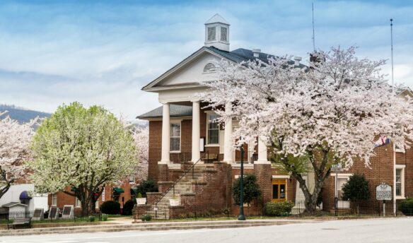 Courthouse with flowering tree